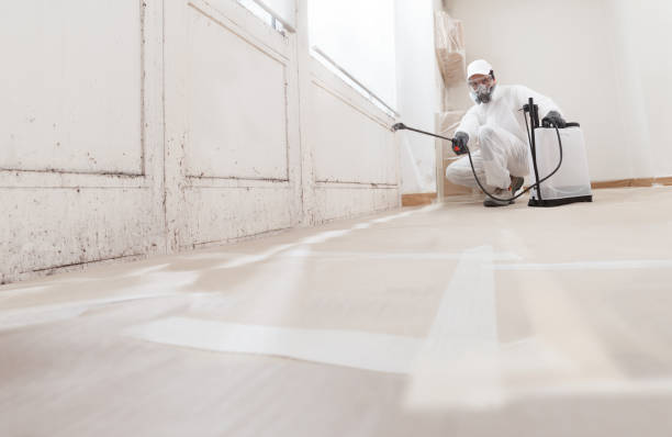 24/7 Emergency Mold Inspection experts in Kensington, MD