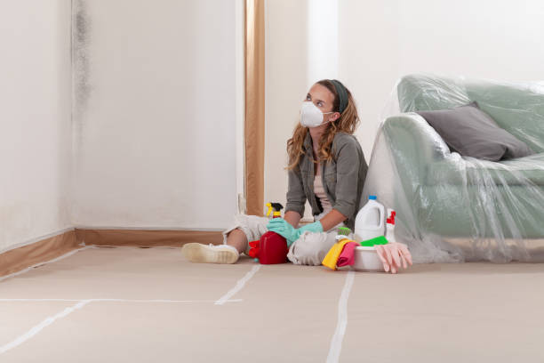 Trusted Mold Inspection service in Kensington, MD - WQB Mold Removal